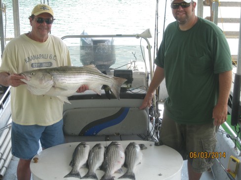 Nice Striped Bass